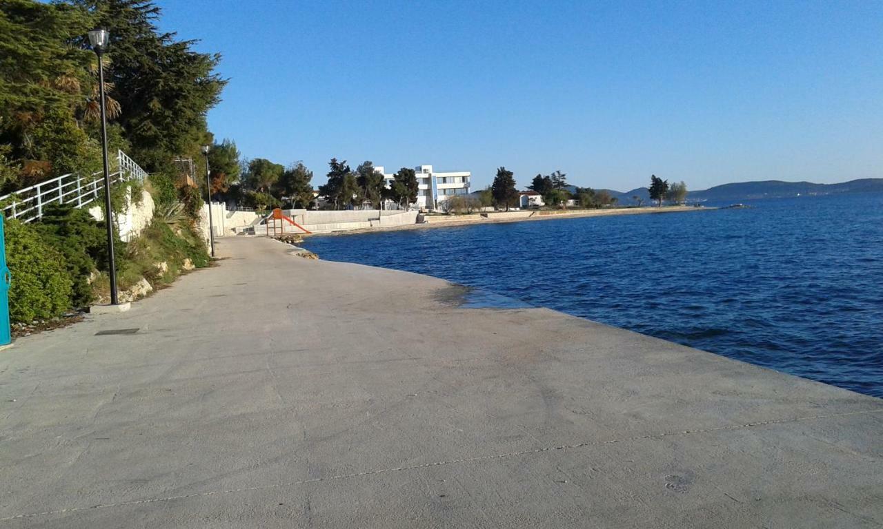 Palm Bibinje